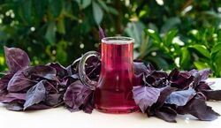 دستور تهیه شربت ریحان خنک و خوشمزه + فیلم