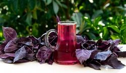 دستور تهیه شربت ریحان خنک و خوشمزه + فیلم