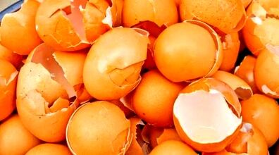 (ویدیو) تیز کردن تیغه آسیاب و خردکن با پوست تخم مرغ