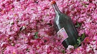  گلاب چطوری به درمان بی خوابی کمک می کنه؟ 