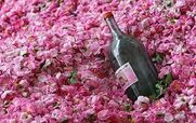  گلاب چطوری به درمان بی خوابی کمک می کنه؟ 