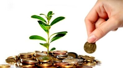 با خواندن این سوره ثروتمند میشوید؟ | افزایش رزق و روزی با سوره فیل