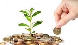 با خواندن این سوره ثروتمند میشوید؟ | افزایش رزق و روزی با سوره فیل