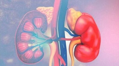 رنگ ادرارتان خبر از بیماریتان می دهد! | با دیدن این نشانه ها به وجود سرطان کلیه مشکوک شوید 