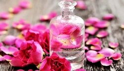 این همه خاصیت فقط از گلاب ! | با خواص شگفت انگیز گلاب برای بدن آشنا شوید