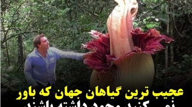 این گل ها رو اصلا تا حالا ندیدی | ۱۵ تا از عجیب ترین گل های دنیا + عکس