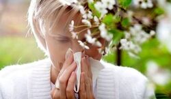  ۷ دمنوش گیاهی برای فرار از آلرژی فصلی در بهار + توضیحات 