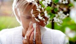  ۷ دمنوش گیاهی برای فرار از آلرژی فصلی در بهار + توضیحات 