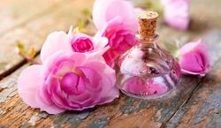 گلاب؛ سحر آمیز ترین عرق گیاهی برای محافظت از چشم
