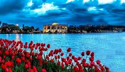 انواع زبان‌های ترکی در ایران