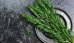  تسکین طبیعی دردهای مفصلی با استفاده از رزماری 