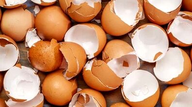 با پوست تخم مرغ یک لایه بردار طبیعی برای پوستت بساز + روش تهیه
