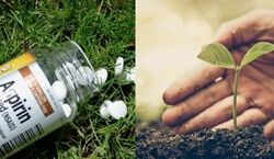 فواید قرص آسپرین برای گیاه و نکات استفاده از آن + فیلم آموزشی
