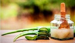 ساخت کرم آلوئه ورا برای آبرسانی و شادابی پوست + دستورالعمل