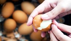با این ترفند پوست تخم مرغ آب پز رو به راحتی جدا کن + فیلم 