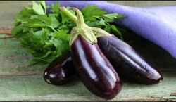  بادمجان؛ یک صیفی همه چیز تمام برای زنان | خواص بادمجان برای خانم ها 