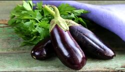  بادمجان؛ یک صیفی همه چیز تمام برای زنان | خواص بادمجان برای خانم ها 