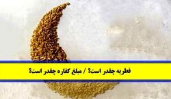 اعلام مبلغ فطریه سال ۱۴۰۲ از سوی رهبر انقلاب | شیوه پرداخت زکات فطریه + جزئیات 