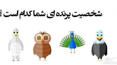 شخصیت پرنده ای شما کدام است ؟ | شخصیت شناسی بر اساس پرنده 
 ماه تولد