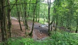 دره چاشت خوران؛ جاذبه تازه کشف شده گرگان + مسیر دسترسی 