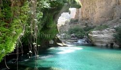 تنگه دار نوشهر، زیباترین جاذبه شمال کشور + عکس 