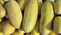 خواص شگفت انگیز خربزه برای آقایان | فواید خربزه در افزایش میل جنسی آقایان 
