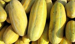 خواص شگفت انگیز خربزه برای آقایان | فواید خربزه در افزایش میل جنسی آقایان 