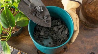 فواید زغال برای گیاهان و طریقه استفاده از آن + فیلم آموزشی