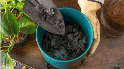 فواید زغال برای گیاهان و طریقه استفاده از آن + فیلم آموزشی