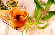  با نوشیدن دمنوش به لیمو بهترین روش کاهش وزن را امتحان کنید 