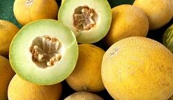 مربای خربزه خانگی خوشمزه و خوش عطر رو با این 2 روش درست کن!