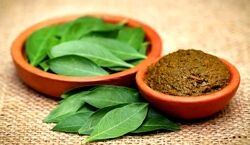 خواص حنا گیاهی با هزار فایده | نسخه های درمانی طب سنتی با استفاده از حنا