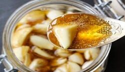 خواص و فواید شگفت انگیز سیر و عسل برای سلامت بدن + طرز تهیه
