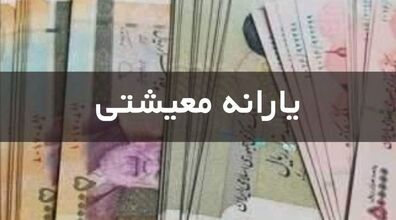 یارانه معیشتی مرغ و تخم مرغ در راه است | یارانه مرغ و تخم مرغ برای هر ایرانی چقدر؟؟ 
