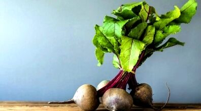 سبزه عید لبو بهترین انتخاب خانم های خوش سلیقه | مدت زمان سبز شدن سبزه لبو 