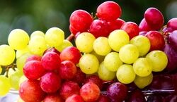 اگه بعد از خوردن انگور، بلافاصله آب بخوریم چه اتفاقی برامون میفته؟؟