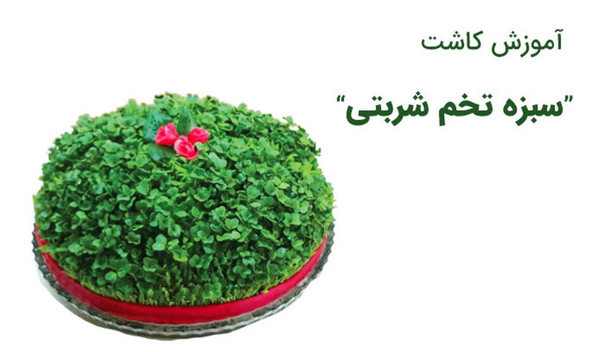 سبزه عید با تخم شربتی