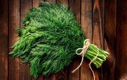  پاکسازی فوری کبد چرب با مصرف سبزی شوید + خواص 