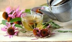 دمنوش های مفید برای گوارش روزه داران | در ایام ماه رمضان حتما این دمنوش ها را بنوشید