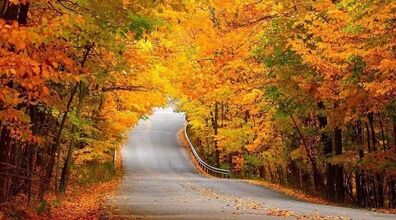 بهترین مکان های پاییزی ایران برای لوکیشن عکاسی