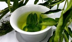 معجزه برگ سنا برای درمان یبوست + روش استفاده