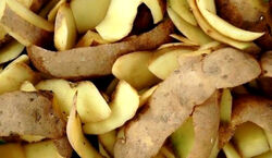 پوست سیب زمینی دور نریز باهاش چربی سطوح رو تمیز کن! + روش