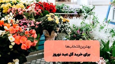 تو سفره هفت سین چه گلی بزاریم؟ | 7 گل جذاب و دوست داشتنی برای عید نوروز