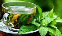 گزنه کم خونی شما رو تا 7 نسل تون از بین می بره