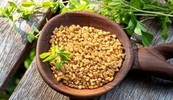  کنترل دیابت ۲ و ۱ با مصرف دمنوش شنبلیله 