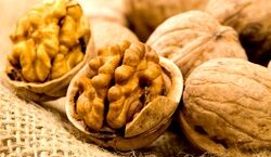 قبل از خواب گردو بخورید | خواص بی نظیر گردو که نمی دانستید 