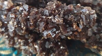 نبات سوخته بخورید | درمان فوری این بیماری ها با نبات سوخته + فیلم