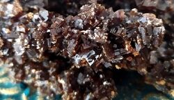 نبات سوخته بخورید | درمان فوری این بیماری ها با نبات سوخته + فیلم