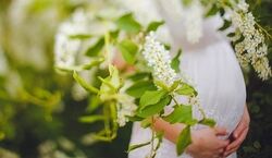 بهترین و بدترین ماه سال برای بارداری کدام است؟‌ 