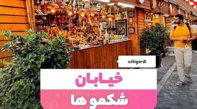 خیابان شکموها کجاست؟ | مکان مخصوص شکم گردی تو دل تهران + عکس